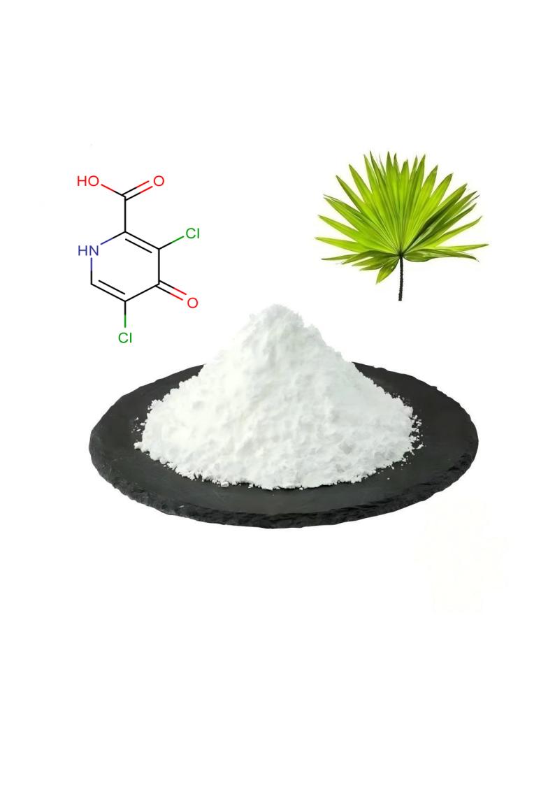 Saw Palmetto: The Natural Powerhouse for Men's Health & Wellness