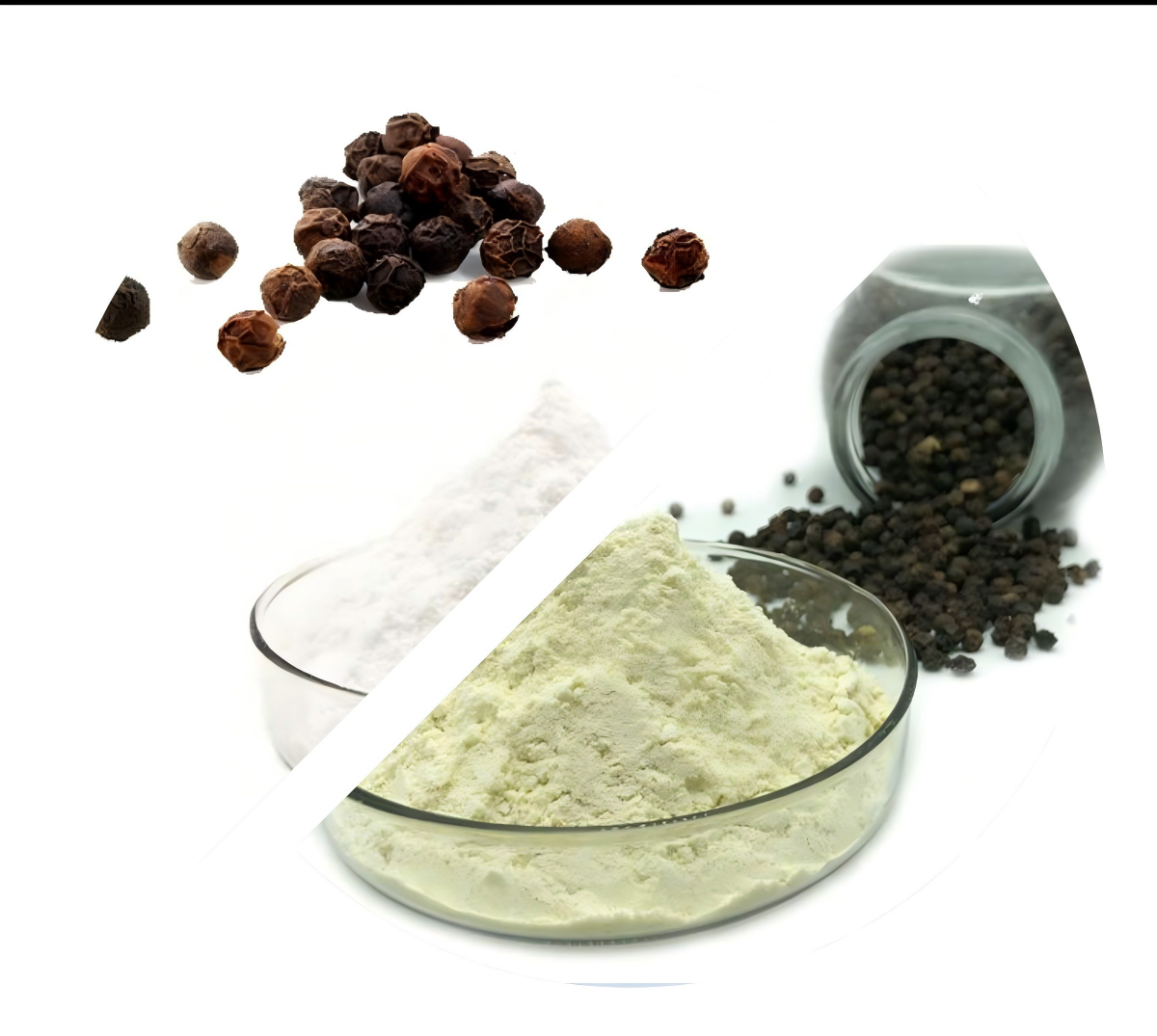  A Deep Dive into Black Pepper Extract (Piperine)